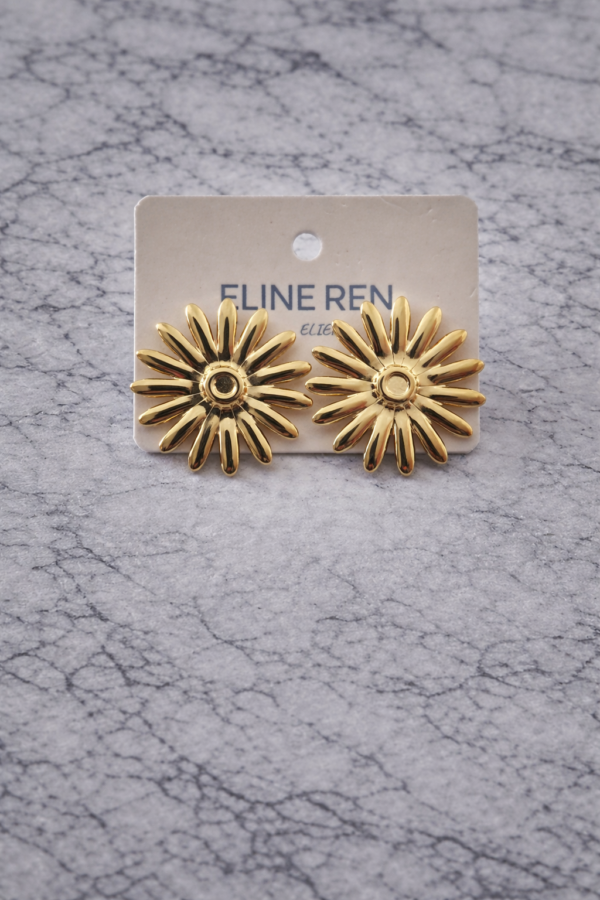 Boucles d’oreilles en acier inoxydable